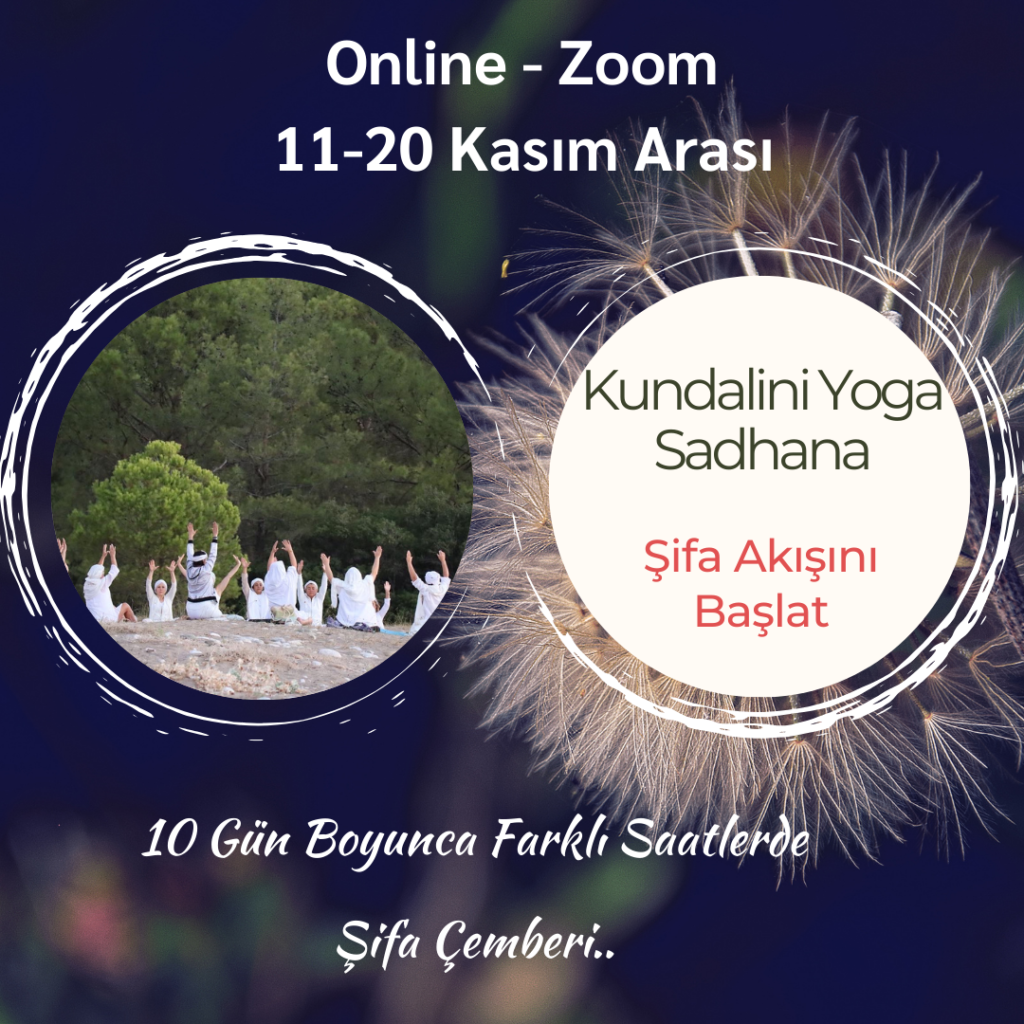 Image gallery image