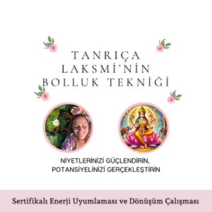 TANRIÇA LAKSHMİ'NİN BOLLUK TEKNİĞİ - Dijital Seminer